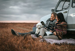 The Middle-Aged Brain